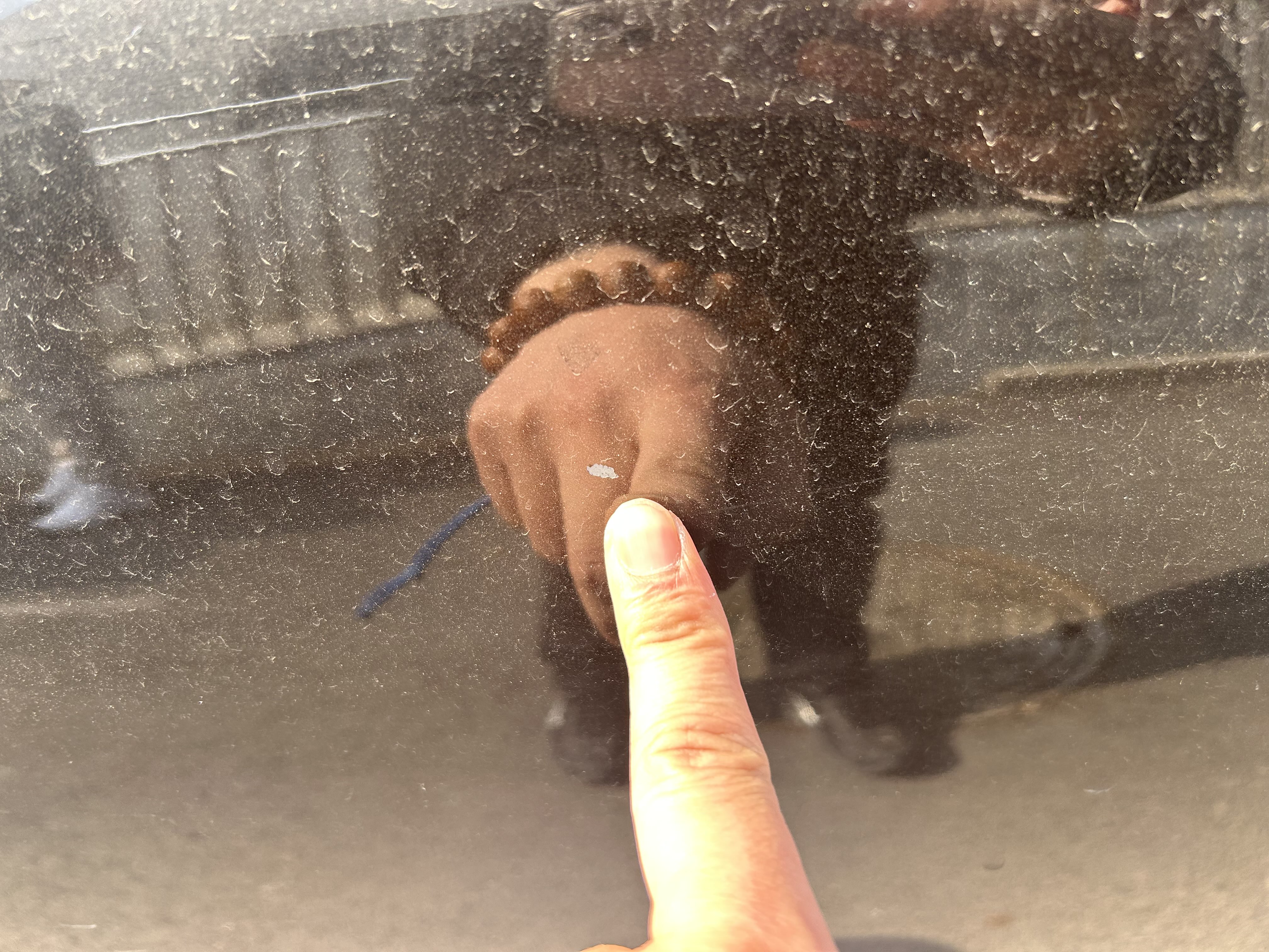 斯柯达 速派 2014 汽车图片 #6