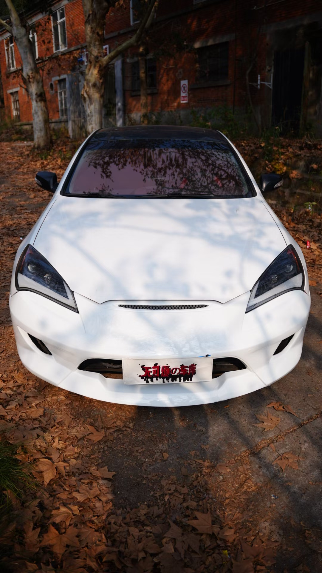 Hyundai Rohens-Coupe 2011 car image #6