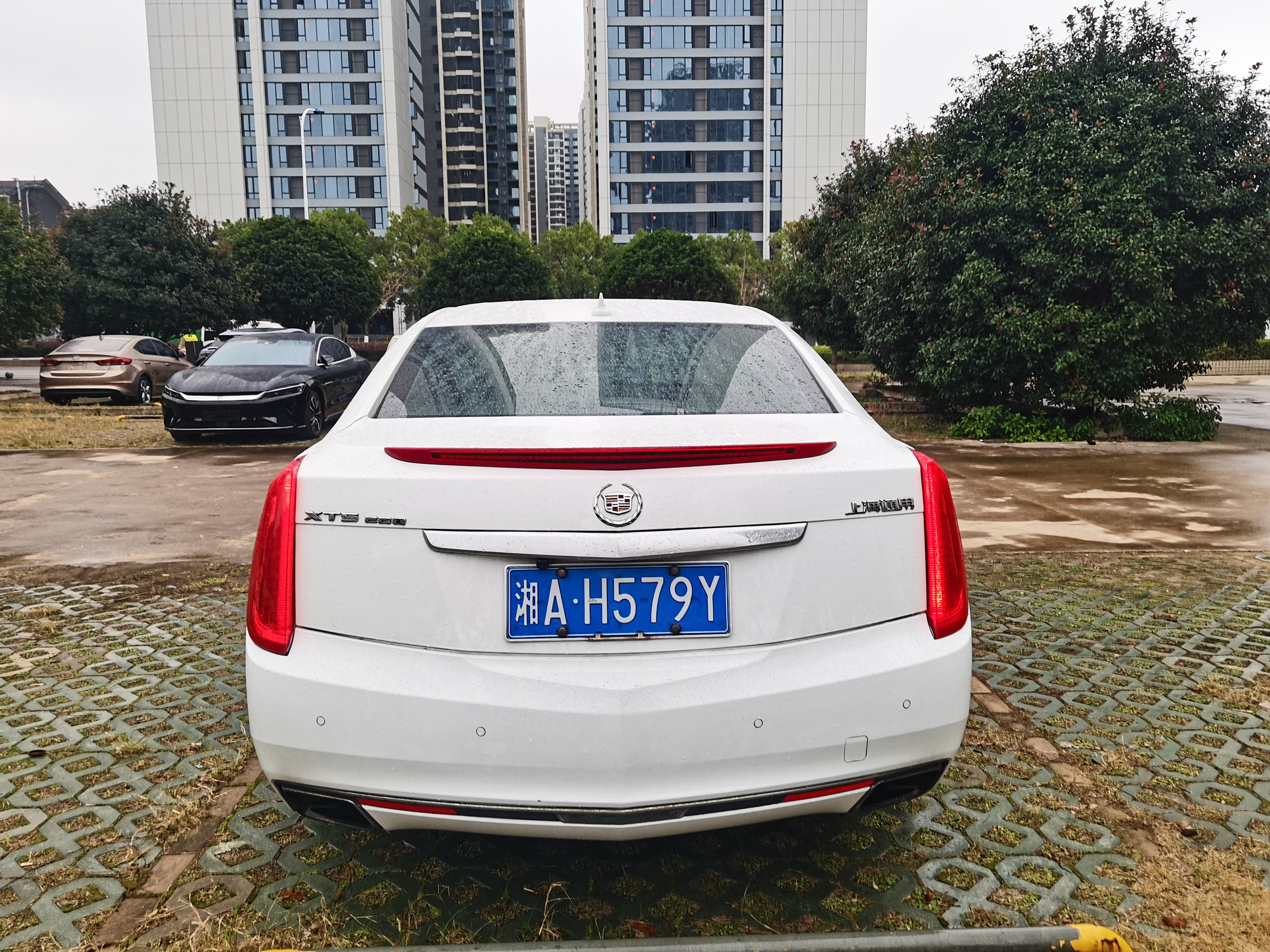 2015 #6 2015 car image #6