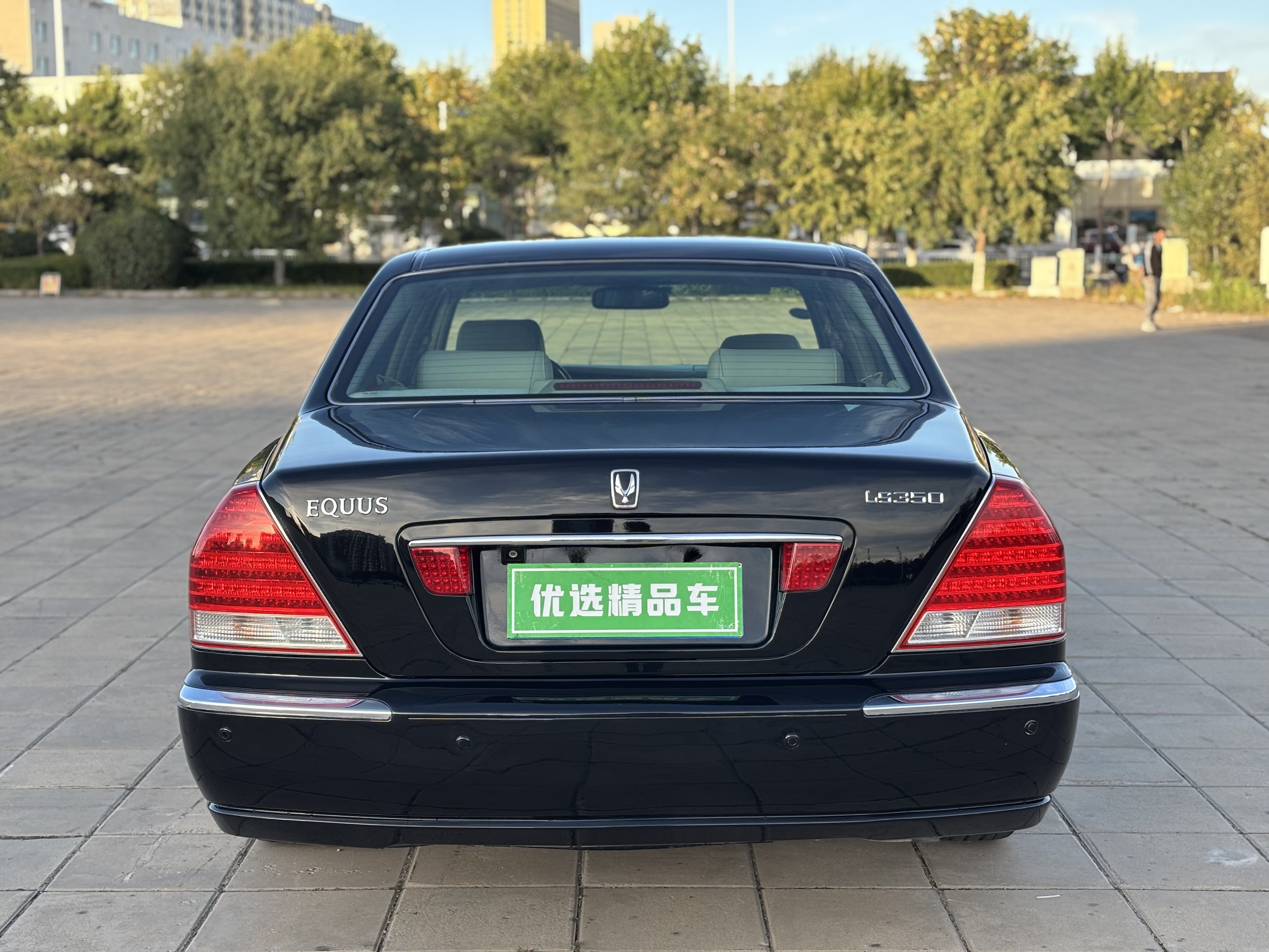 Hyundai Equus 2009 immagine di auto #6