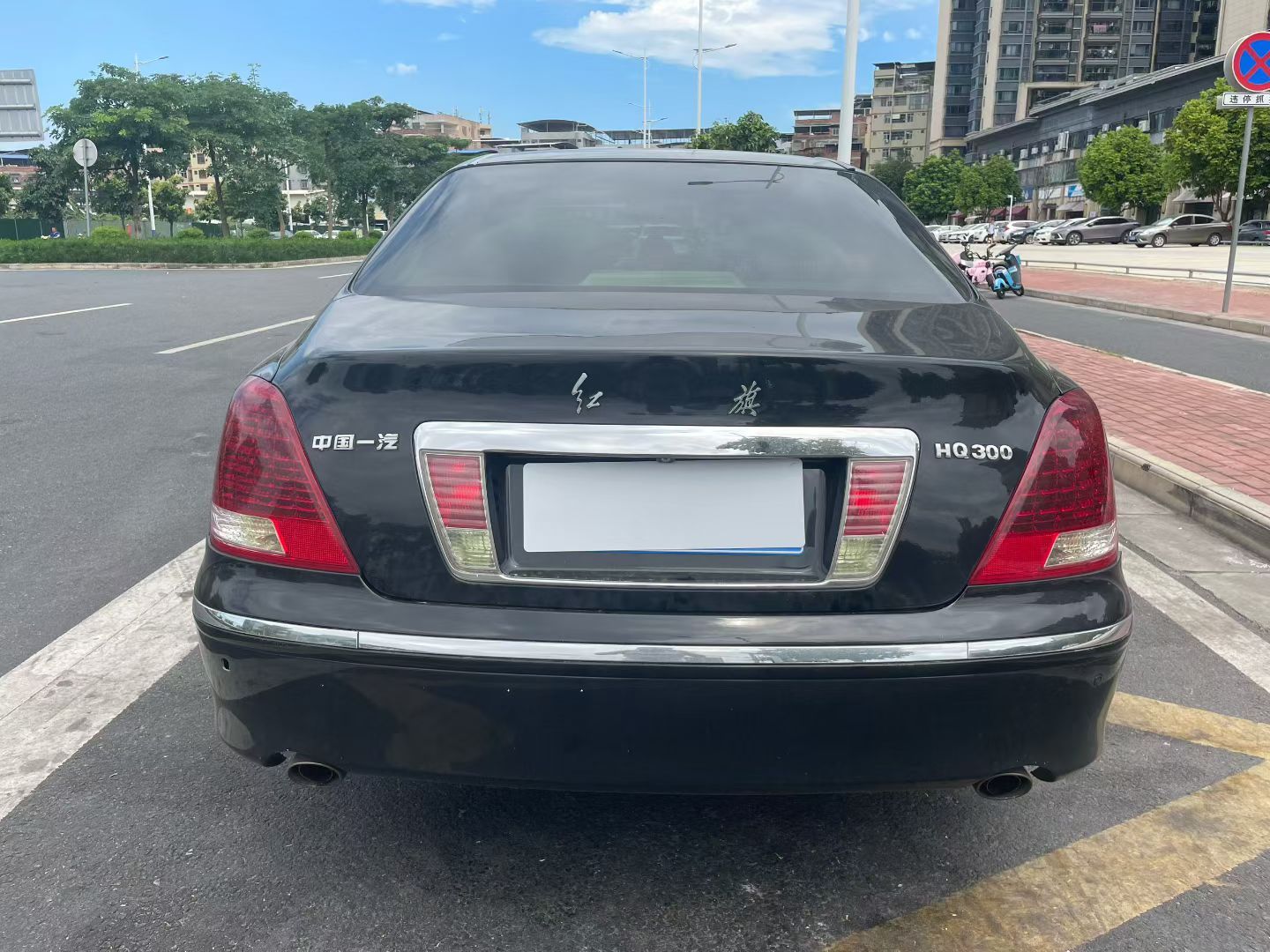 HongQi ShengShi 2008 صورة سيارة #6