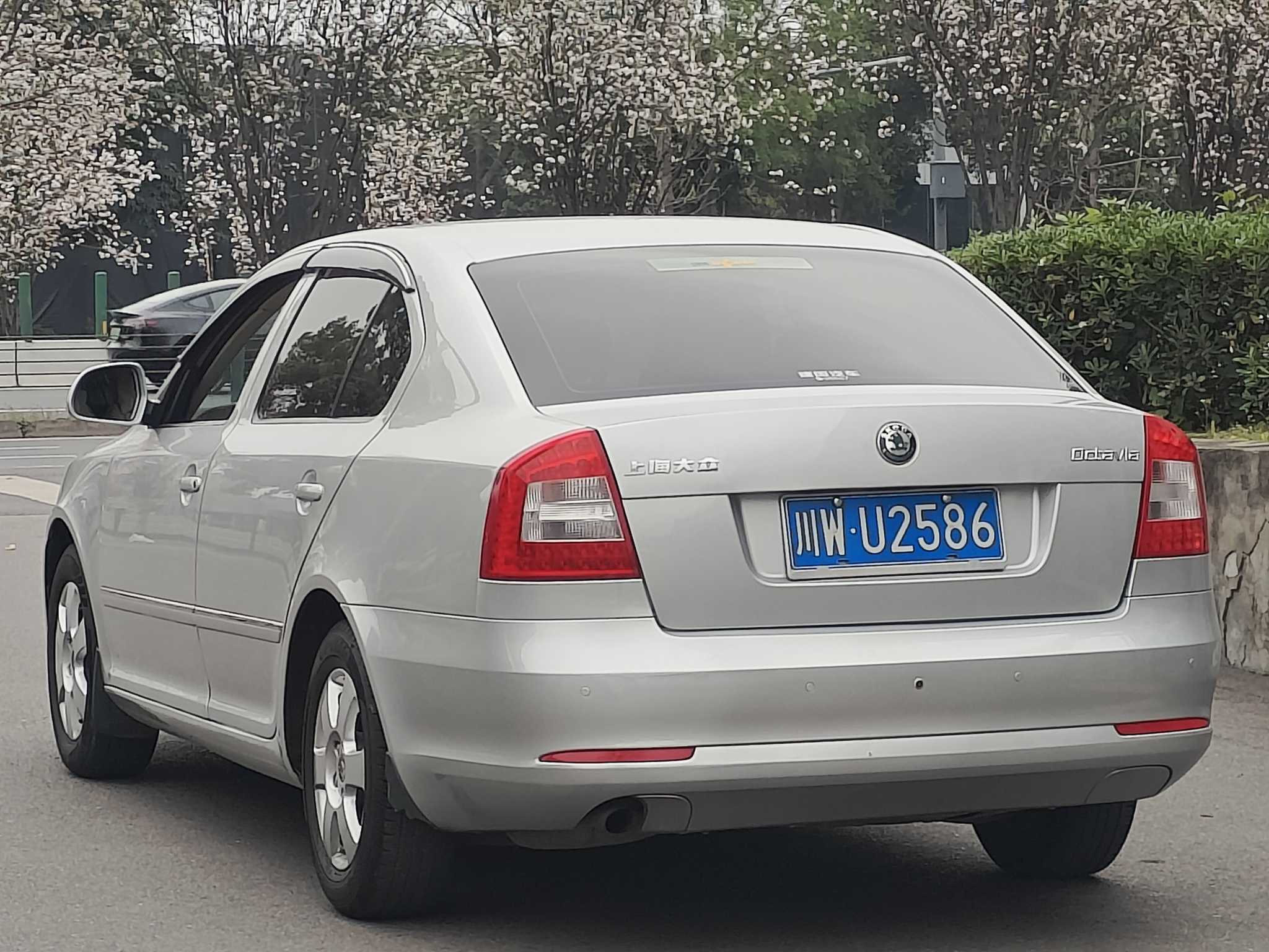 Skoda Octavia 2013 immagine di auto #6