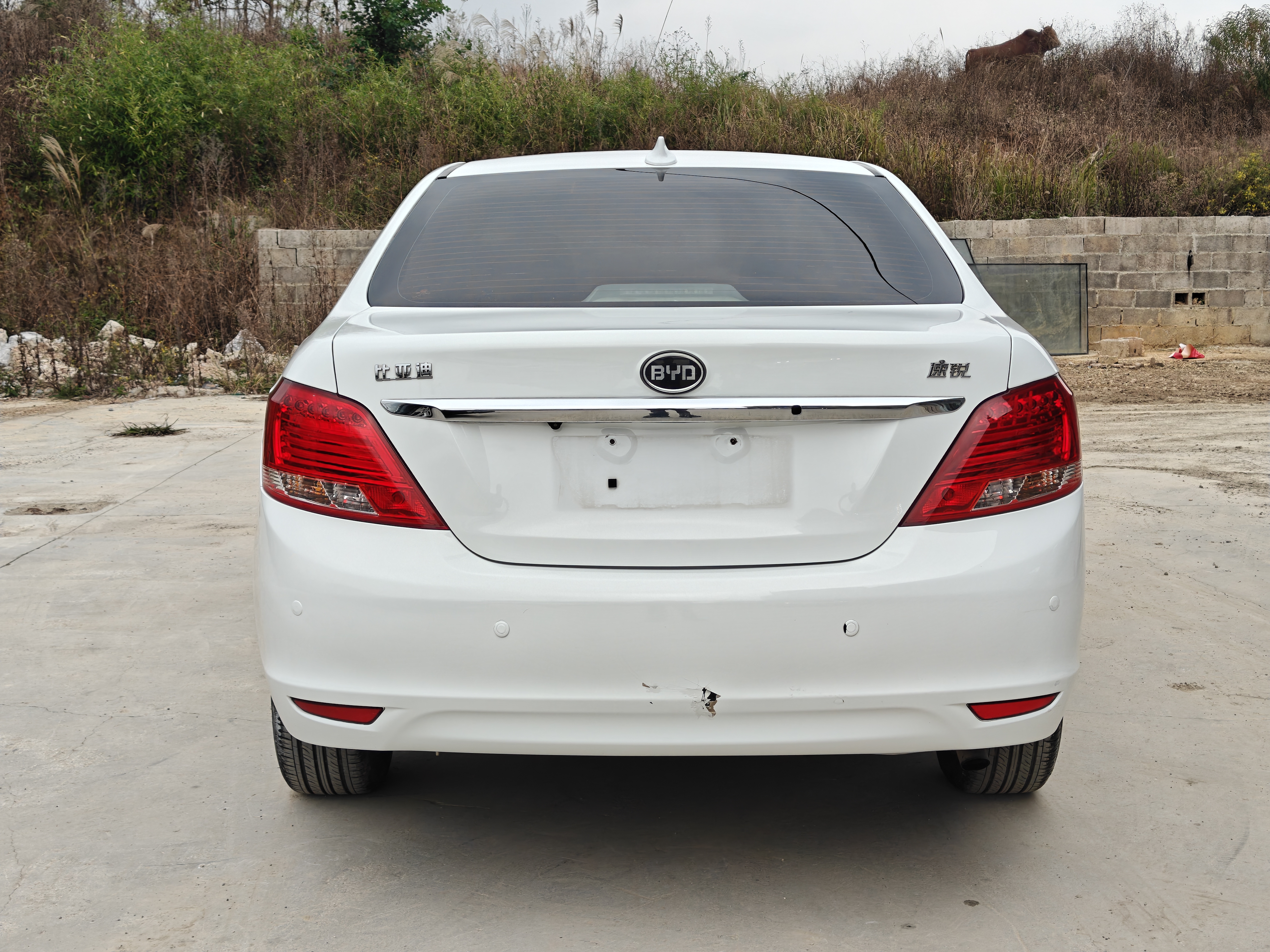 BYD SuRui 2014 immagine di auto #6