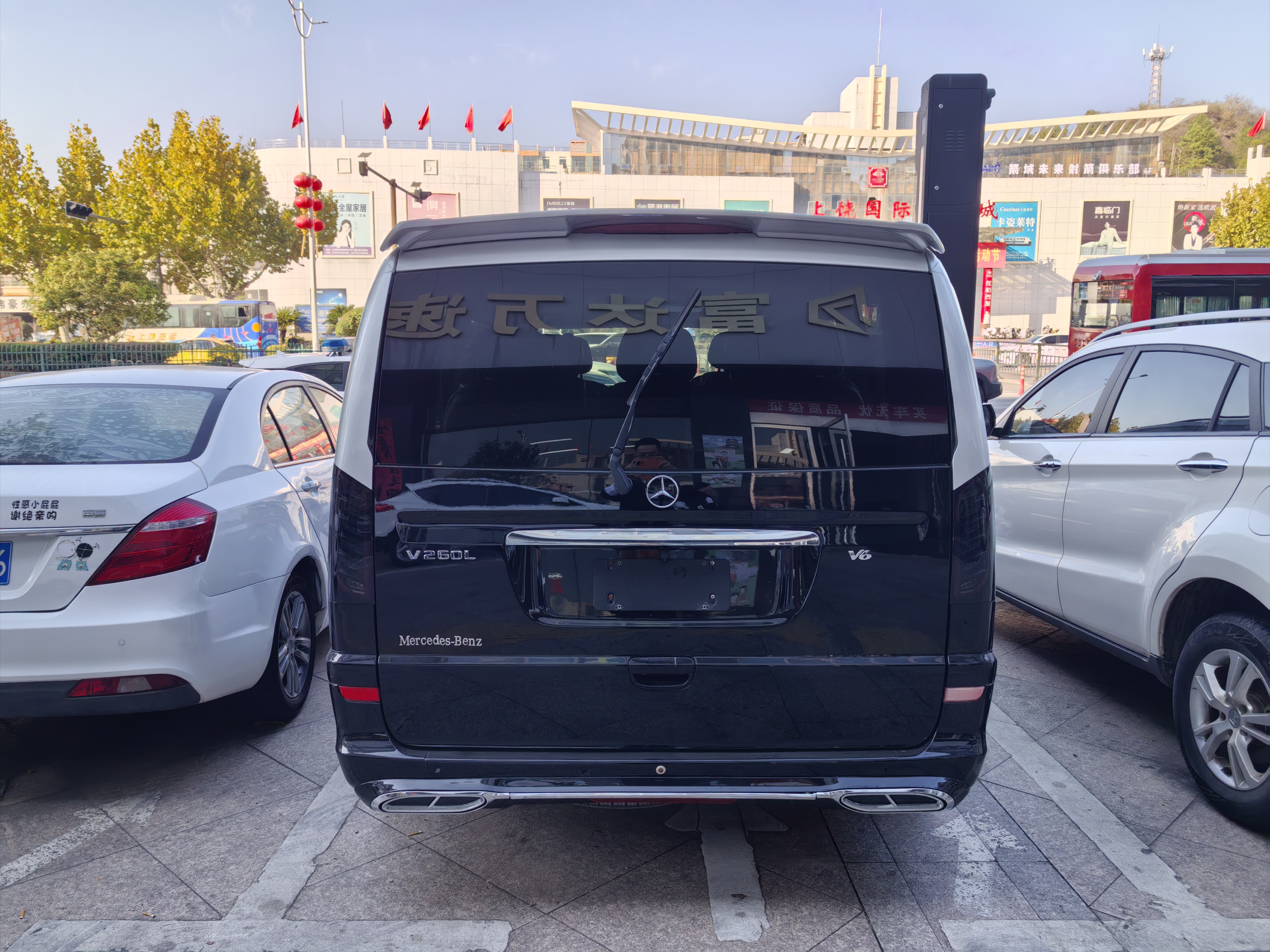 奔驰 唯雅诺 2010 汽车图片 #6