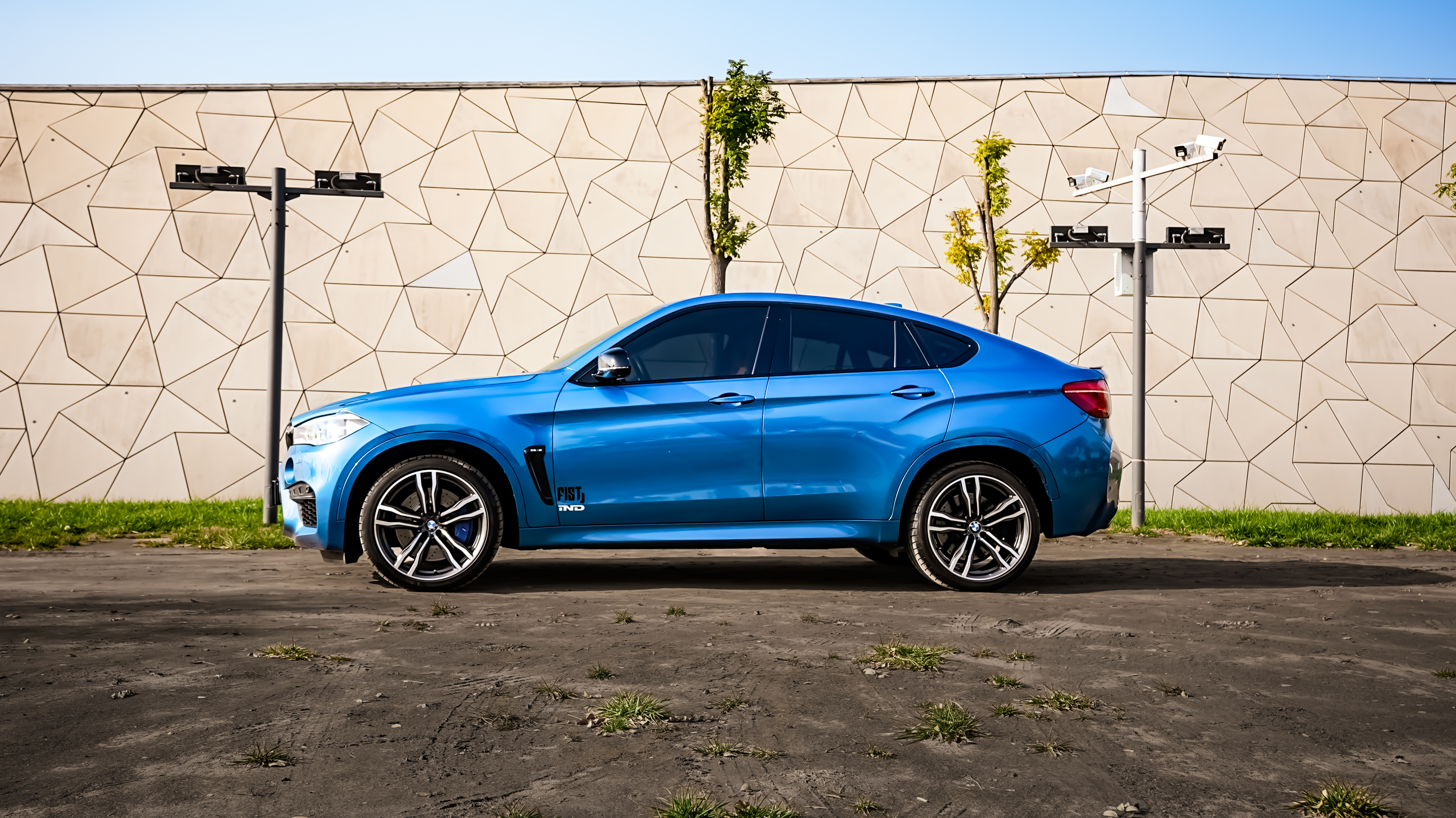 BMW X6 M 2016 car image #6