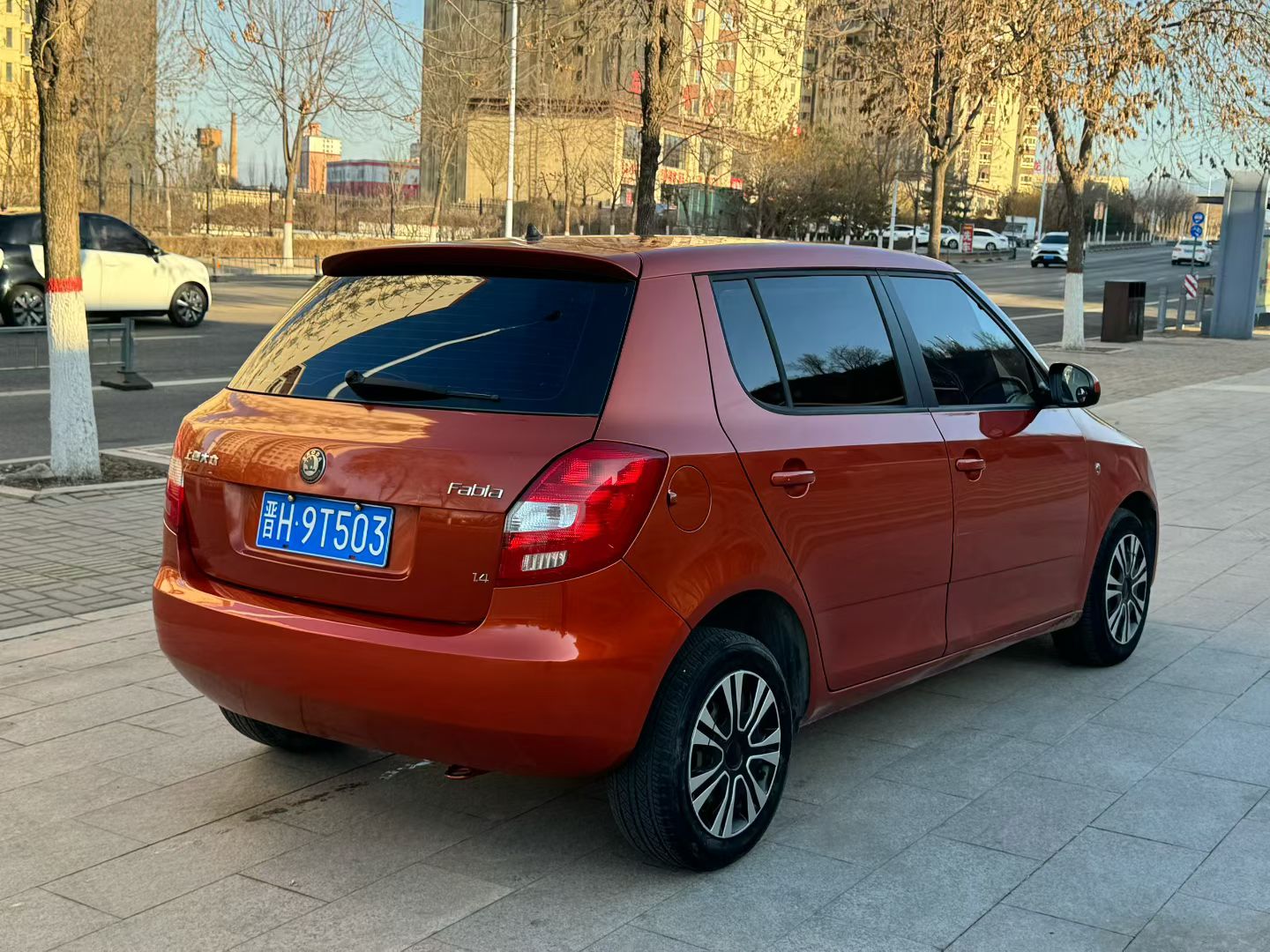 Skoda Fabia 2011 immagine di auto #6