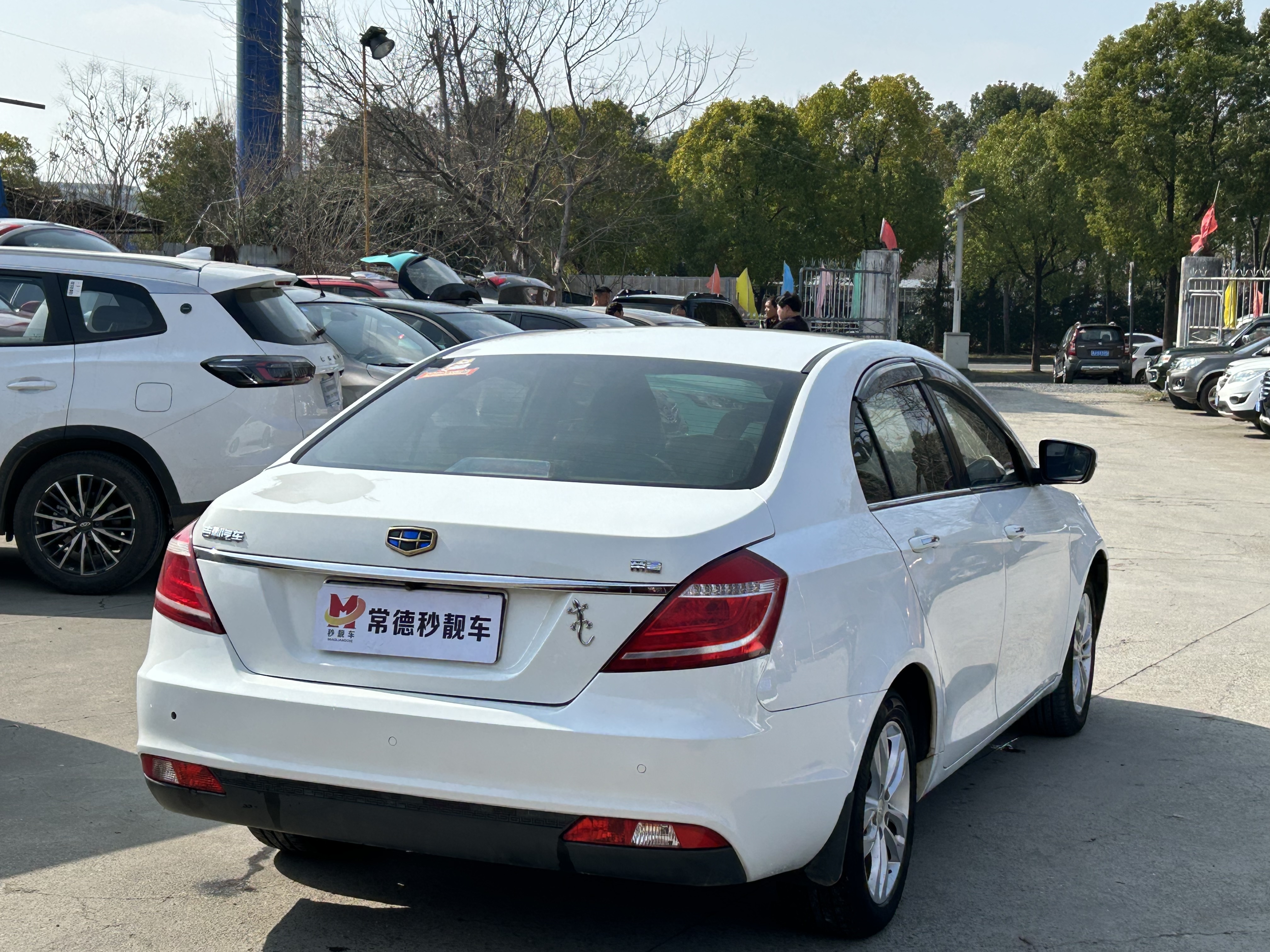Emgrand 2016 #6 Emgrand 2016 car image #6