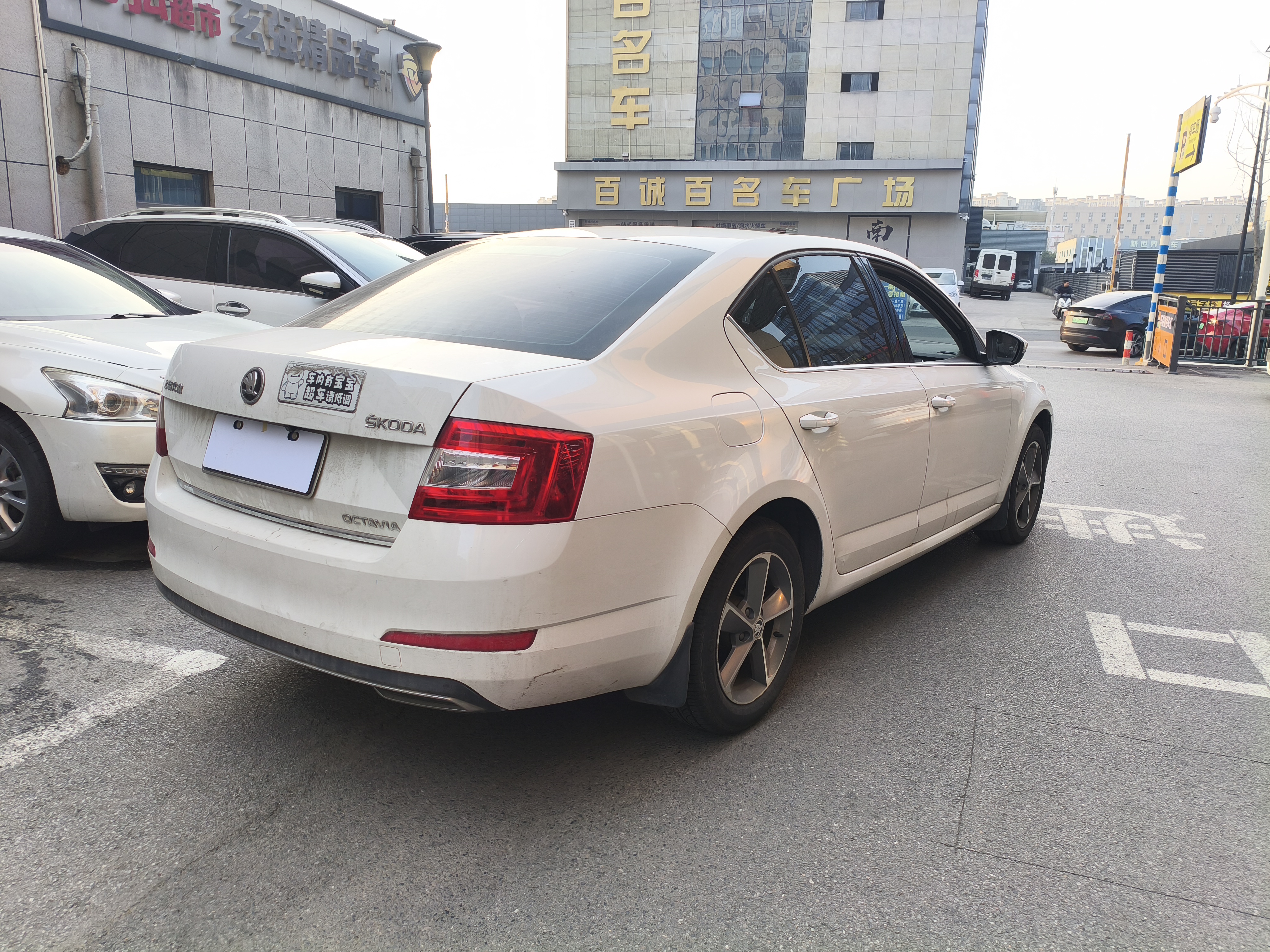 Skoda Octavia 2016 #6 Skoda Octavia 2016 car image #6
