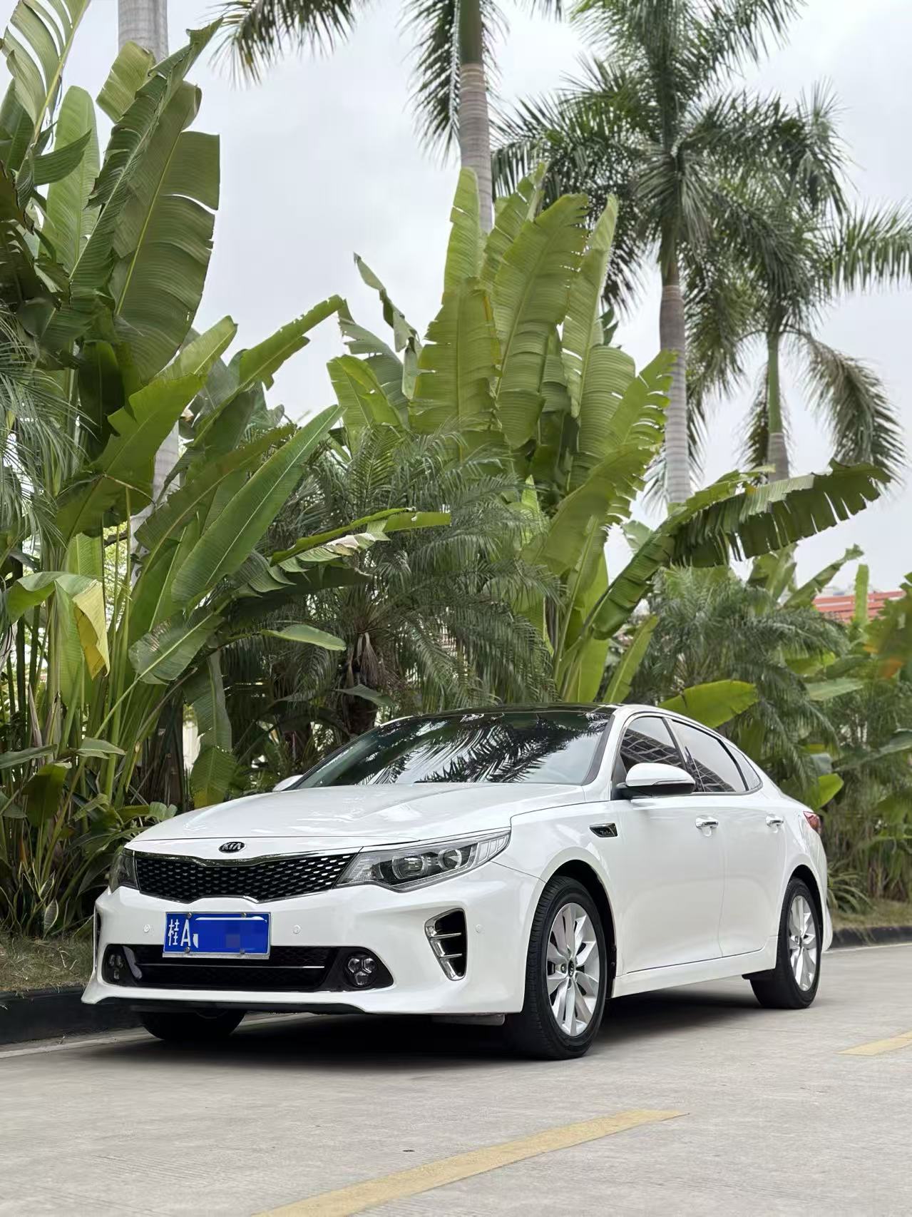 起亚 起亚K5 2016 汽车图片 #6