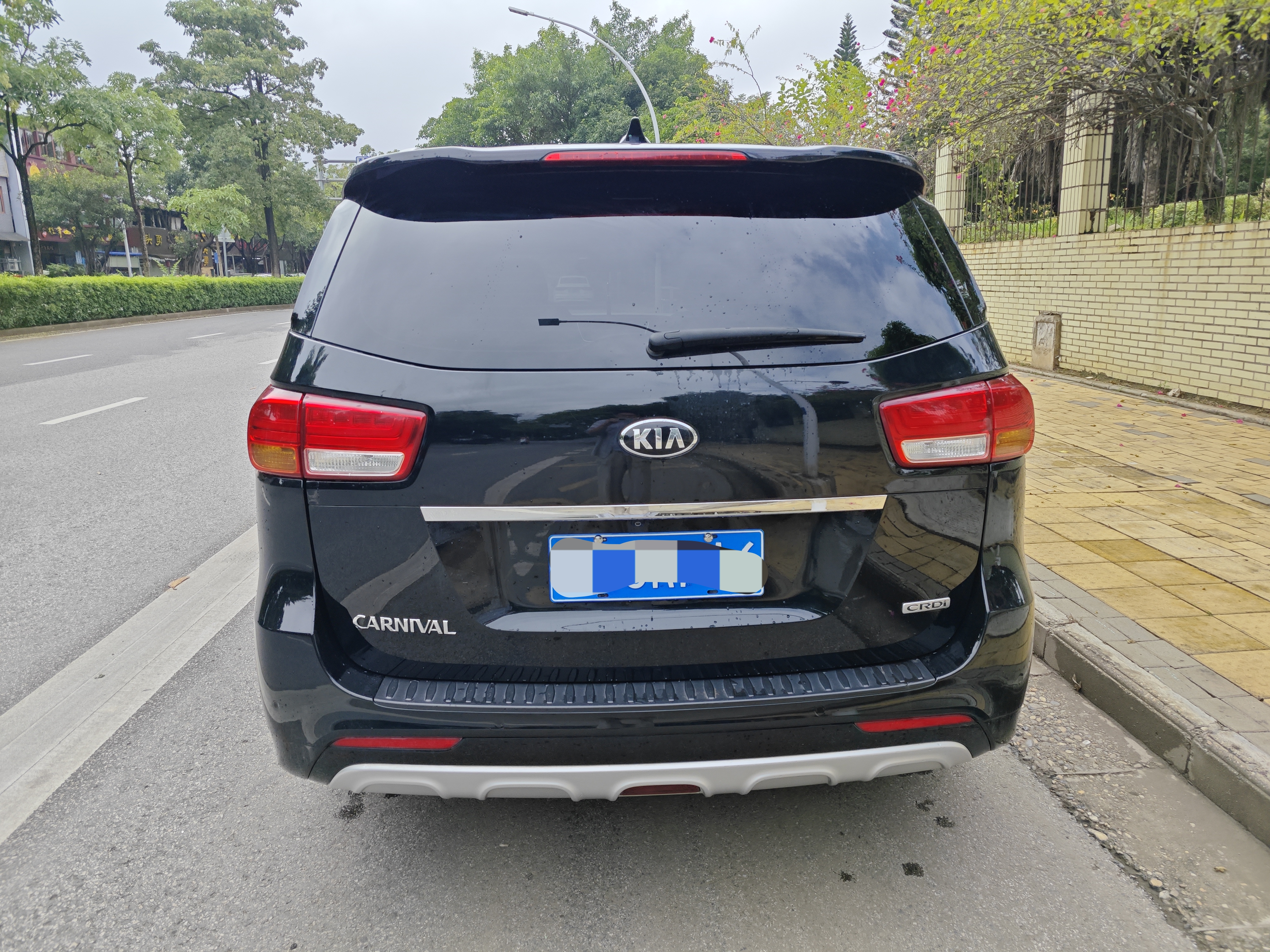 Kia Carnival (Imported) 2018 immagine di auto #6