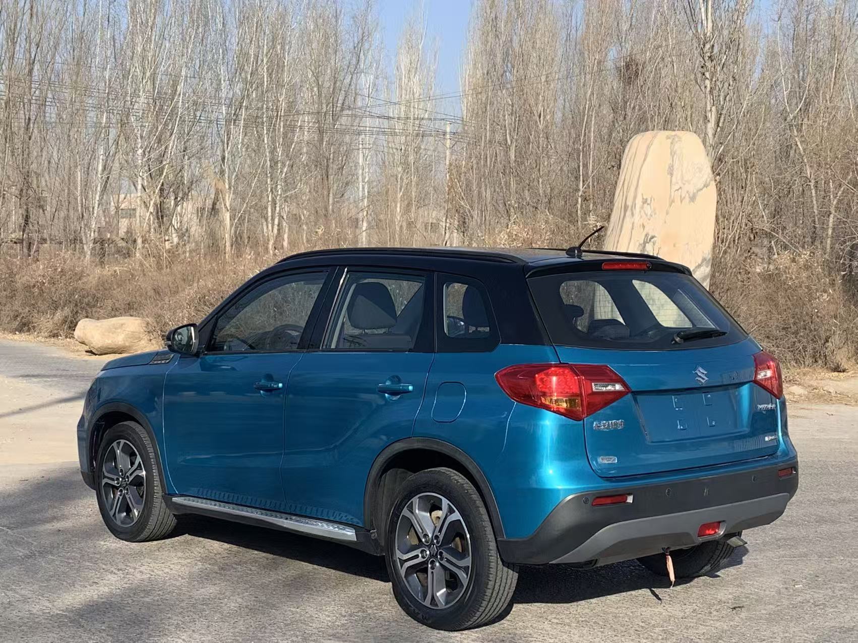 Suzuki Vitara 2016 image de voiture #6