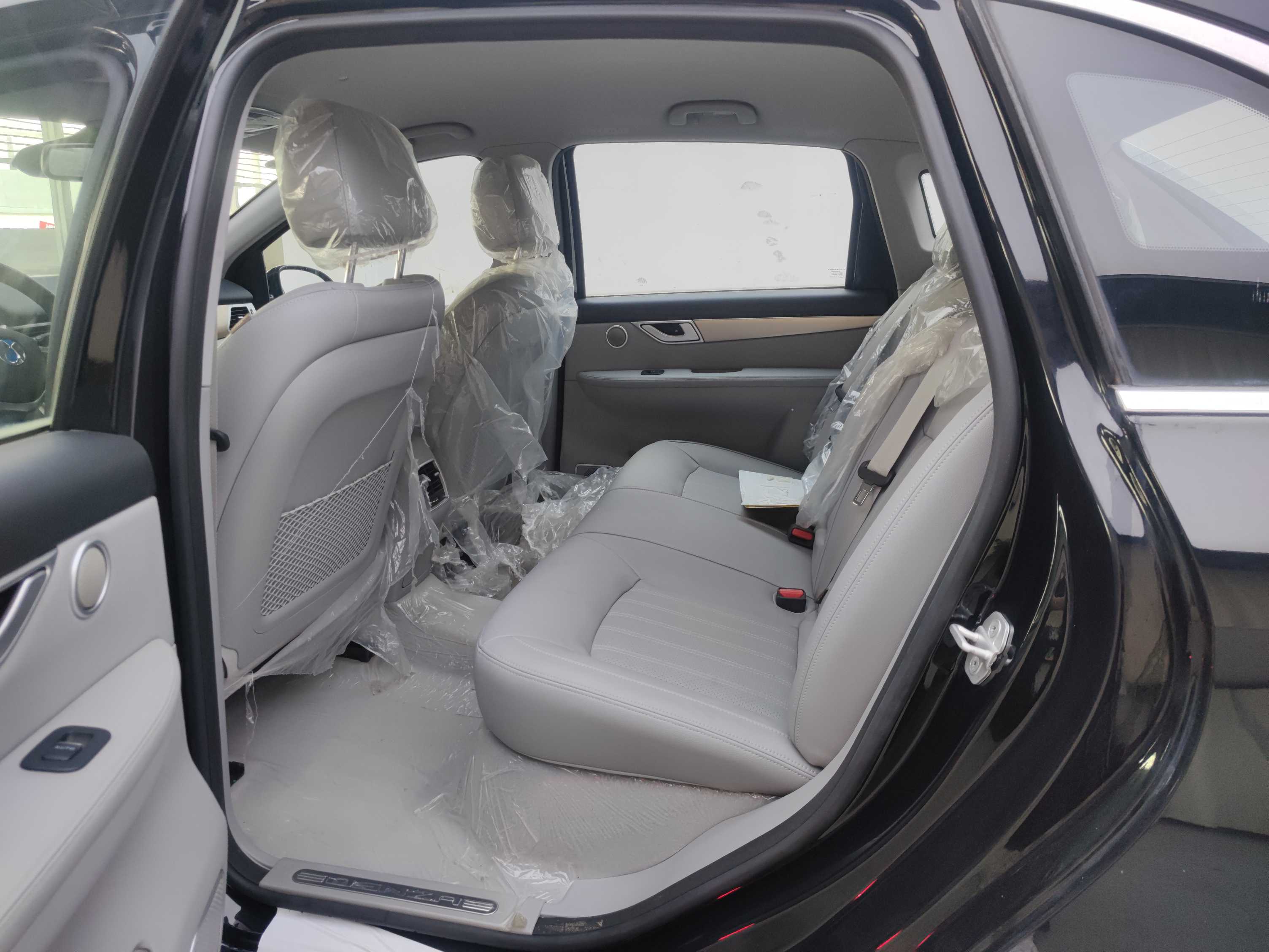 Denza DENZA 2019 car image #6