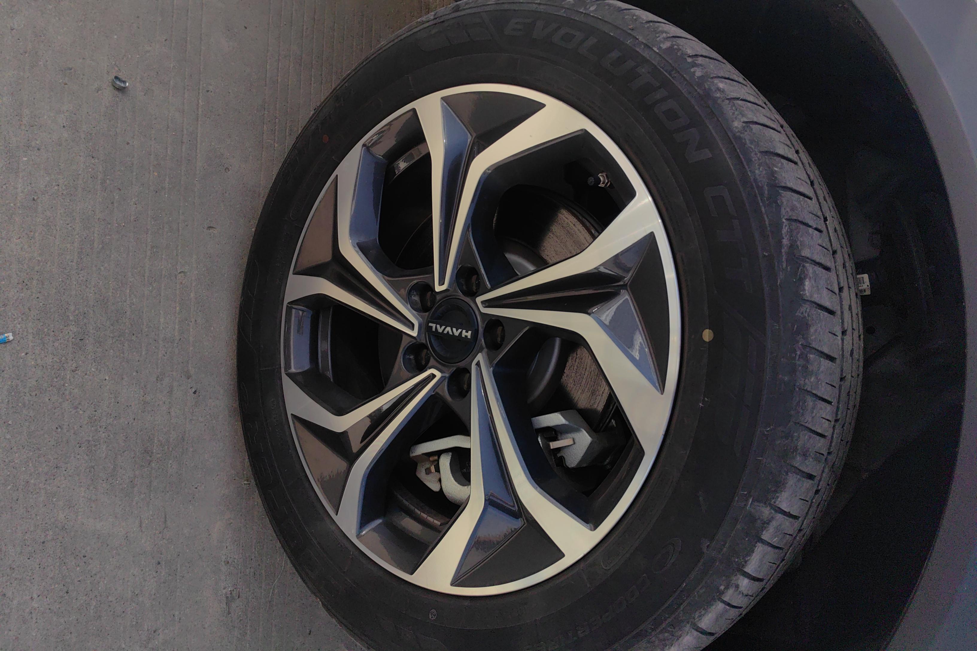 Haval Fierce Dragon MAX 2023 immagine di auto #6