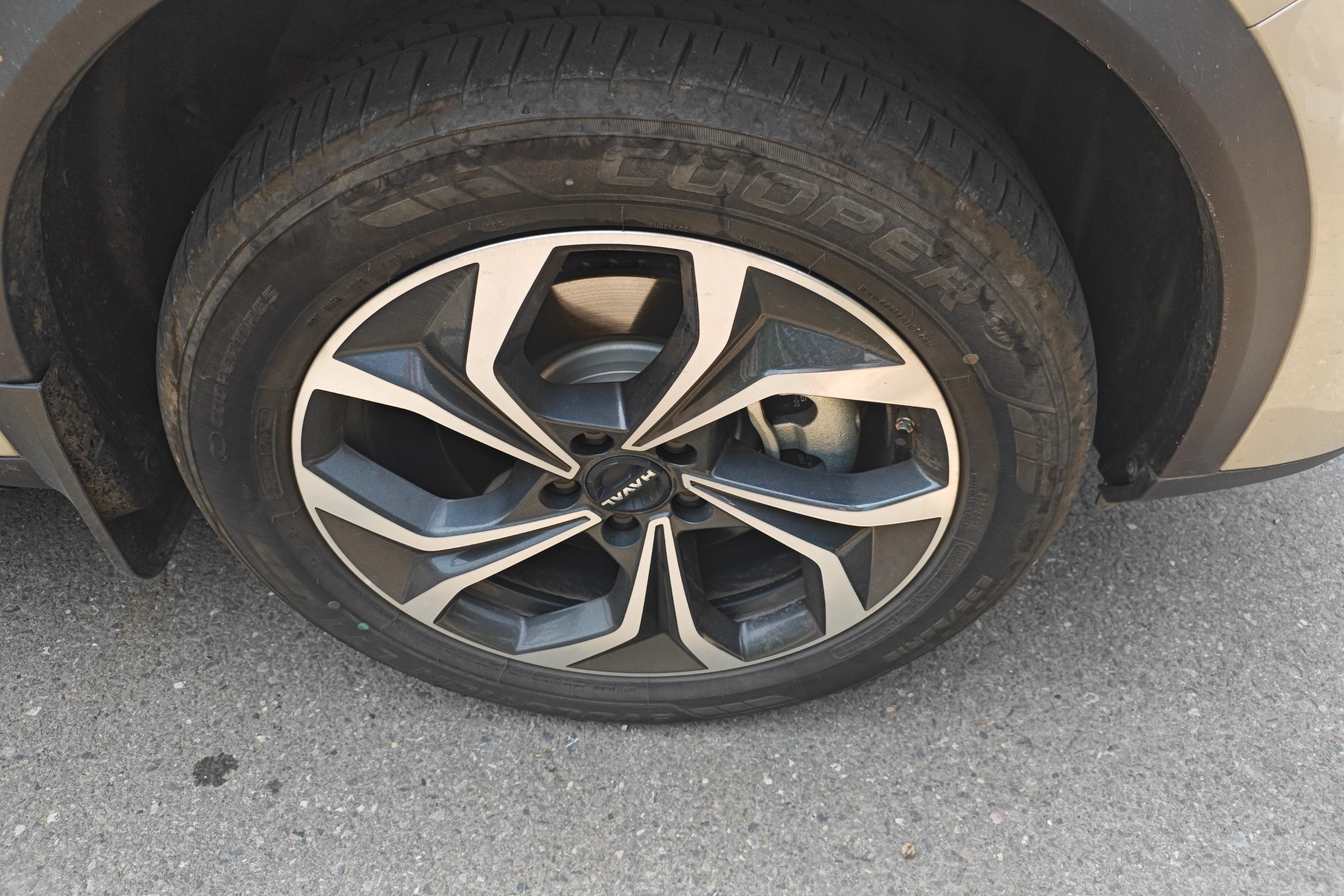 Haval Fierce Dragon MAX 2024 car image #6