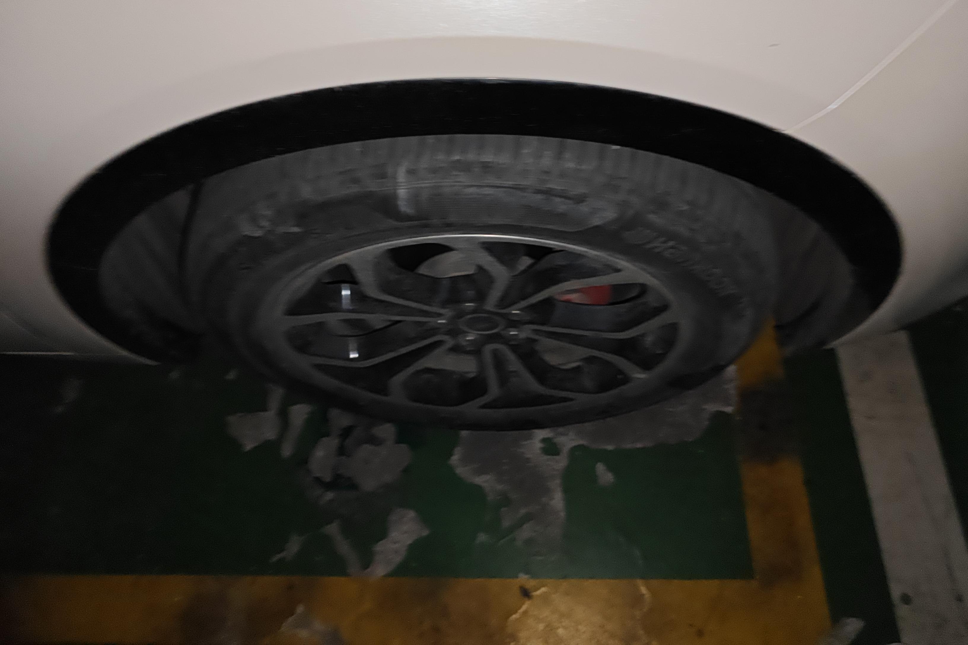 Ford Evos 2021 car image #6