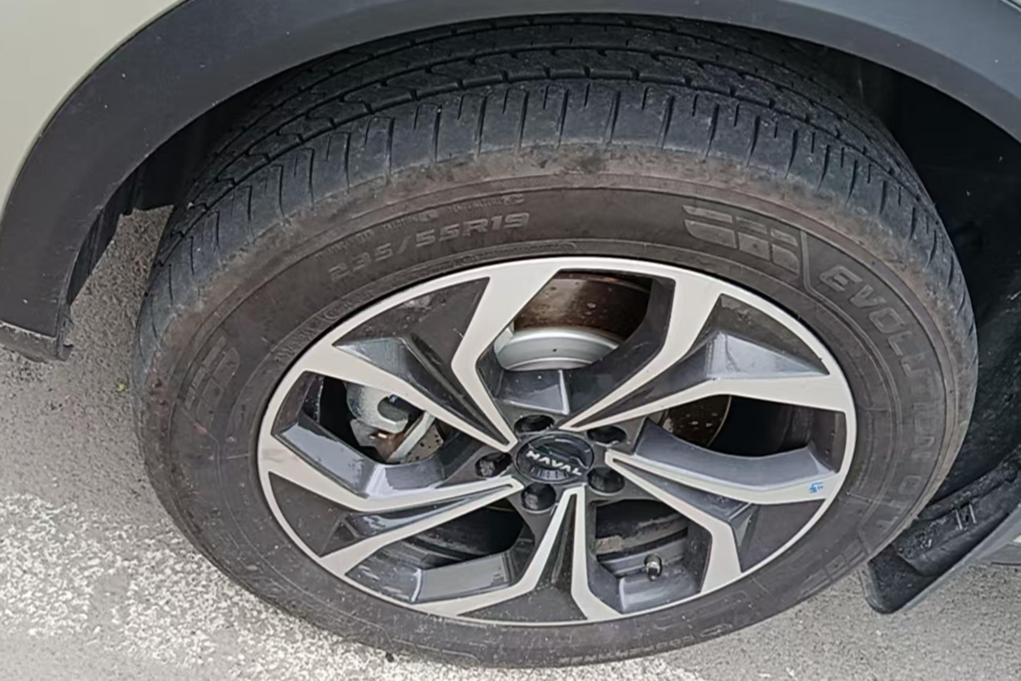 Haval Fierce Dragon MAX 2023 immagine di auto #6