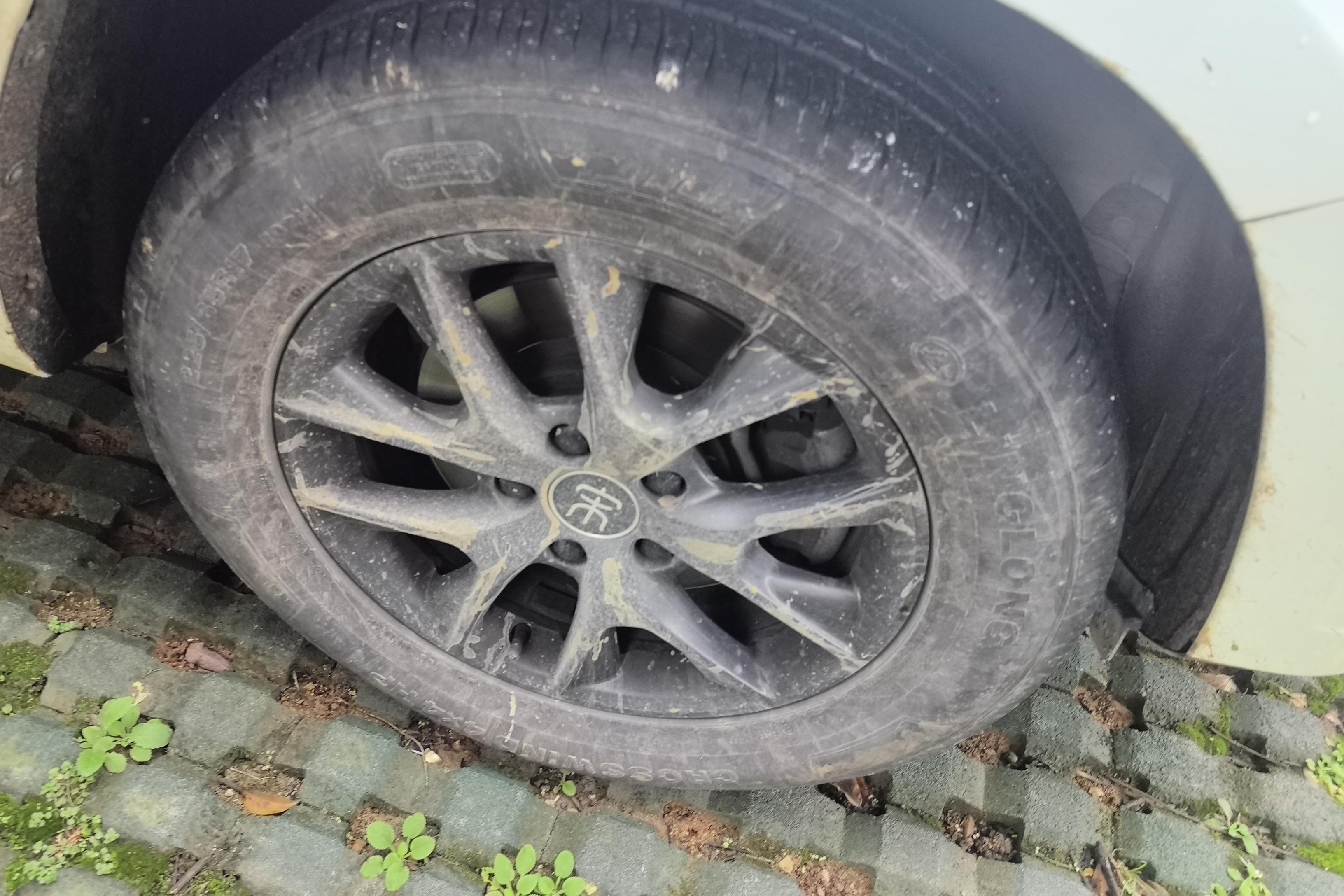 BYD Song 2021 car image #6