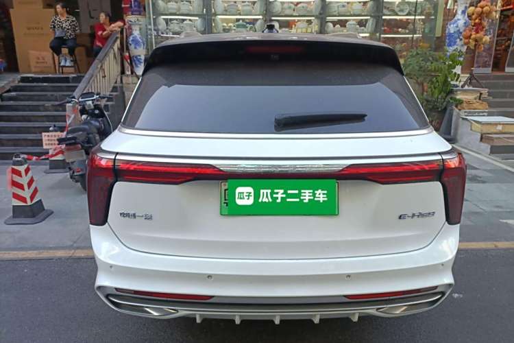 HongQi E-HS9 2023 car image #6