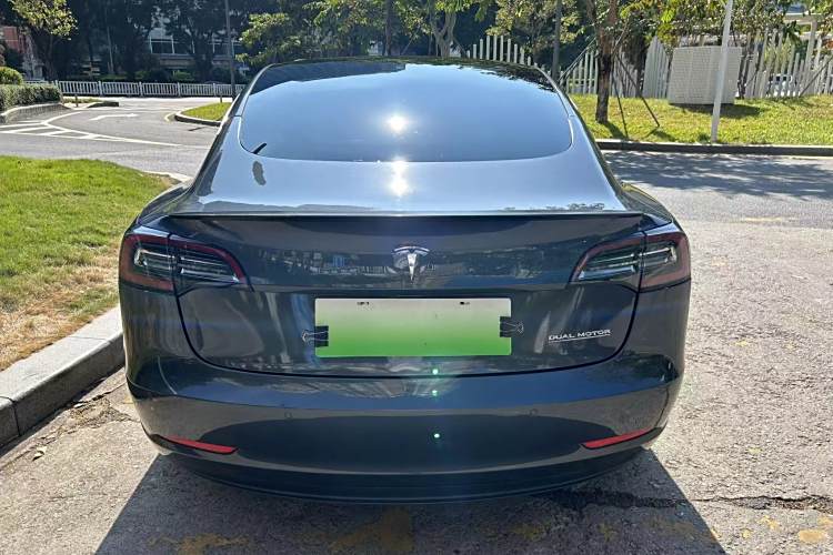 特斯拉 Model 3(进口) 2019 汽车图片 #6