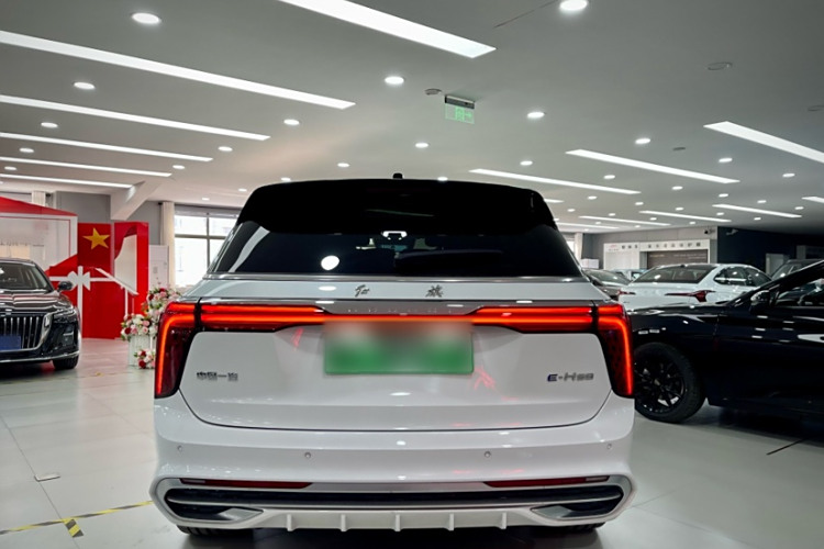 HongQi E-HS9 2024 car image #6