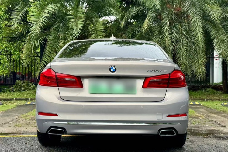 BMW 5 Series New Energy 2018 car image #6