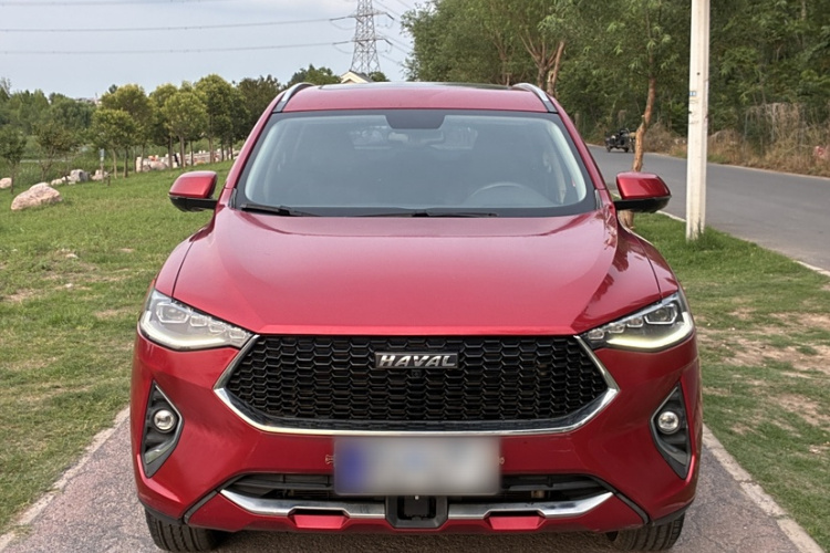 Haval F7 2019 car image #6