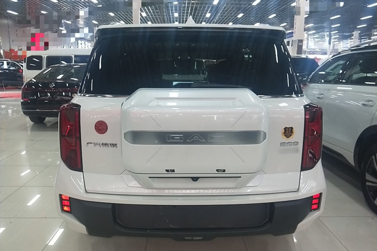 GAC Trumpchi ES9 2025 car image #6