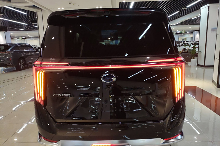 GAC Trumpchi Xiangwang M8 2025 car image #6