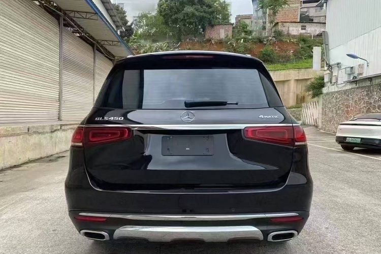 Mercedes-Benz GLS Class 2020 car image #6