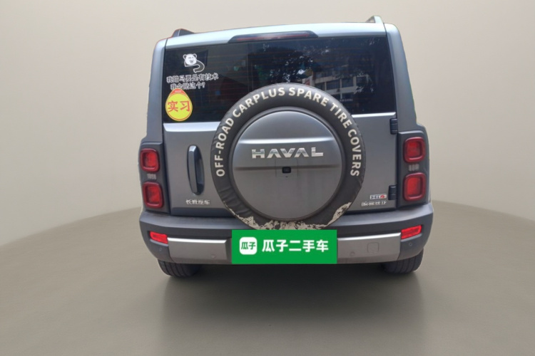 Haval Raptor 2024 immagine di auto #6