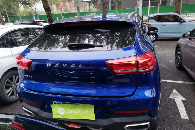 Haval F5 2018 #6 Haval F5 2018 car image #6