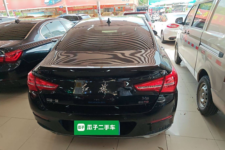HongQi S9 2021 car image #6