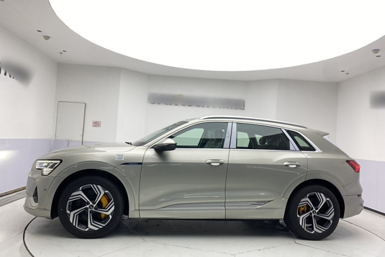 Audi e-tron #6 Audi e-tron car image #6