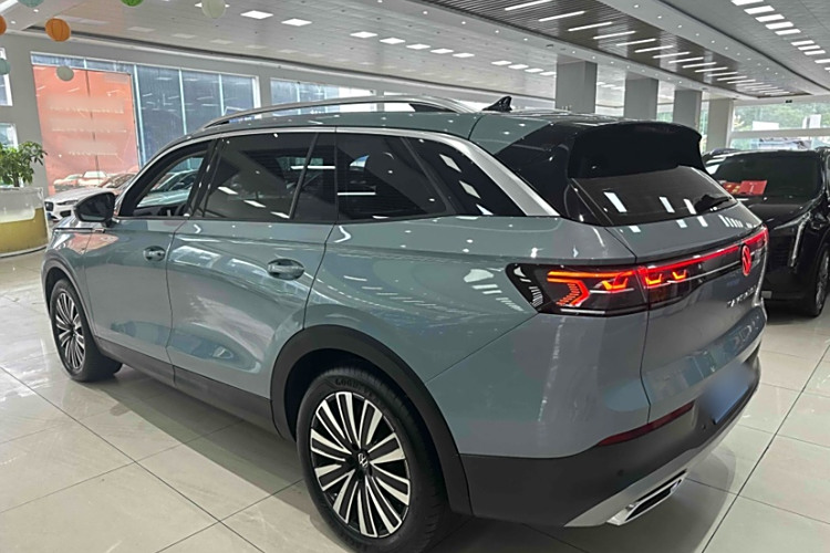 Volkswagen Tavendor 2024 car image #6