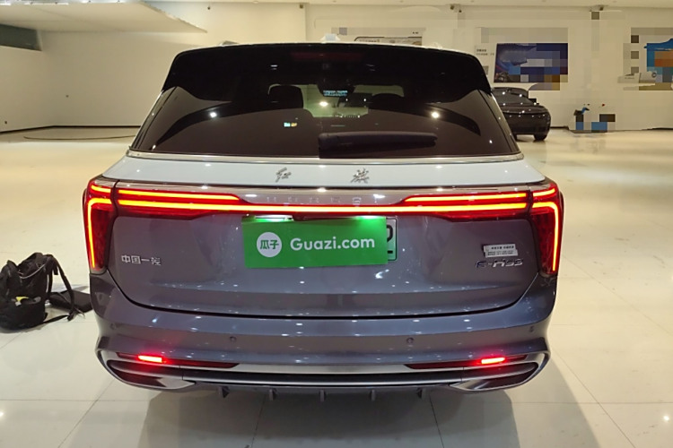 HongQi E-HS9 2022 immagine di auto #6