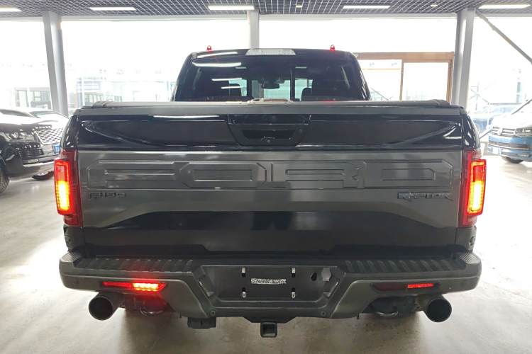 Ford F-150 Raptor 2017 #6 Ford F-150 Raptor 2017 car image #6