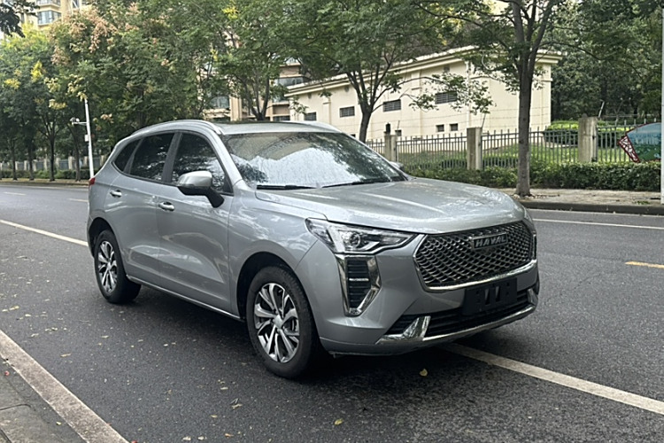 Haval Jolion 2021 car image #6