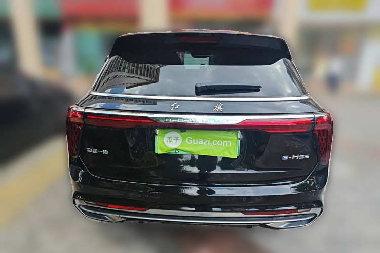 HongQi E-HS9 2022 car image #6