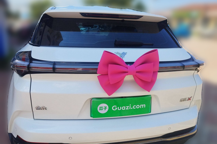 哪吒汽车 哪吒X 2024 汽车图片 #6