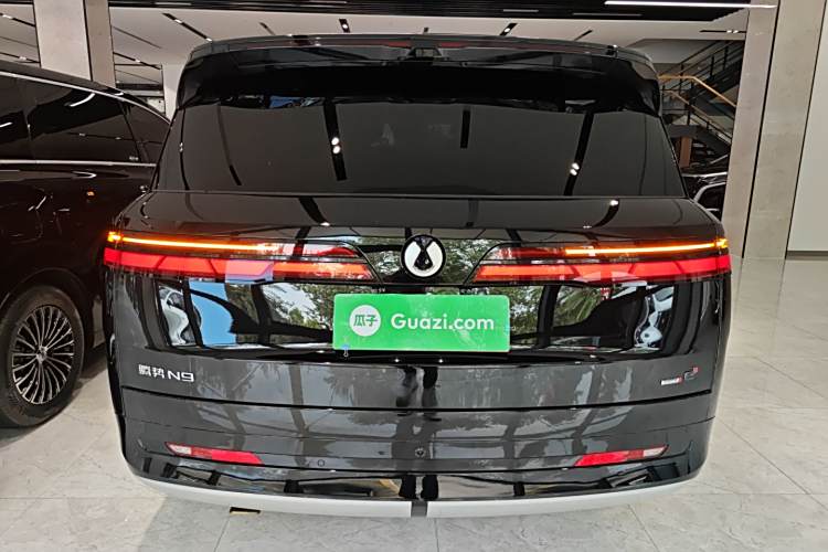 Denza N9 2025 imagem de carro #6