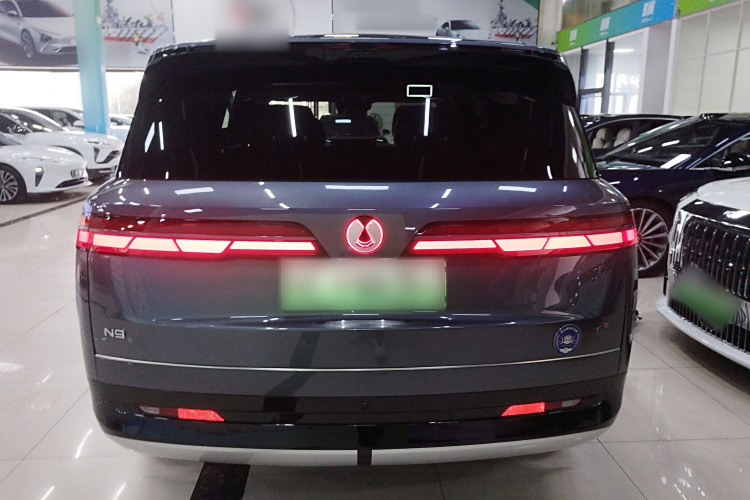 Denza N9 2025 immagine di auto #6