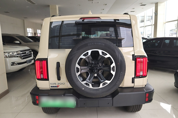 Tank 300 New Energy 2025 imagen de coche #6