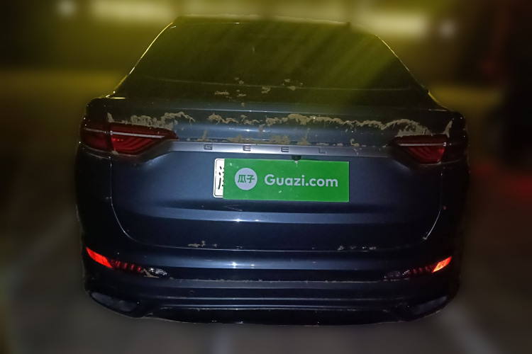 GEELY Tugella New Energy 2019 car image #6