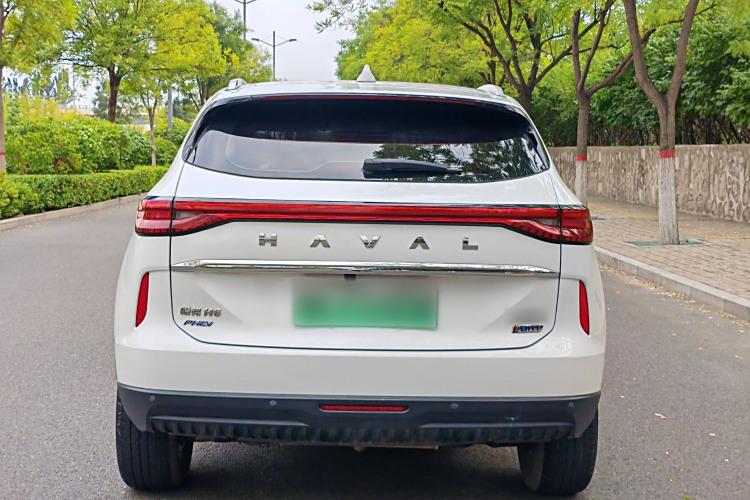 Haval H6 2022 #6 Haval H6 2022 car image #6