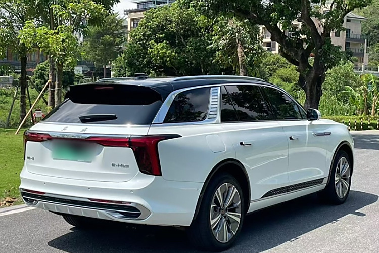 HongQi E-HS9 2021 immagine di auto #6