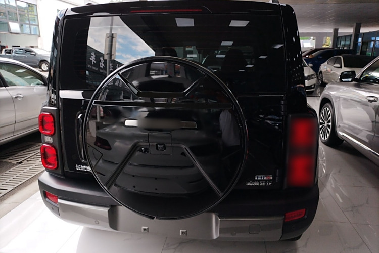 Haval Raptor 2024 car image #6