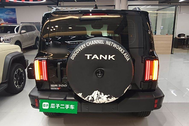 Tank 300 New Energy 2025 car image #6