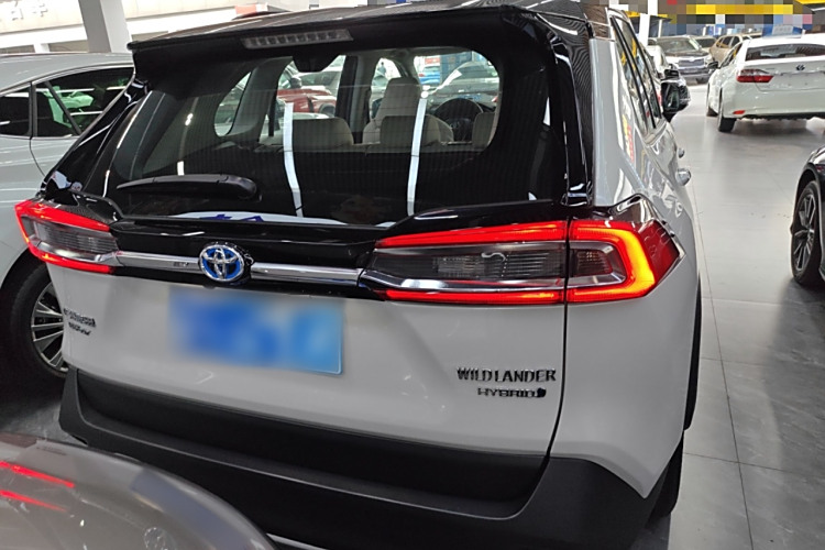 Toyota Wildlander 2024 imagem de carro #6