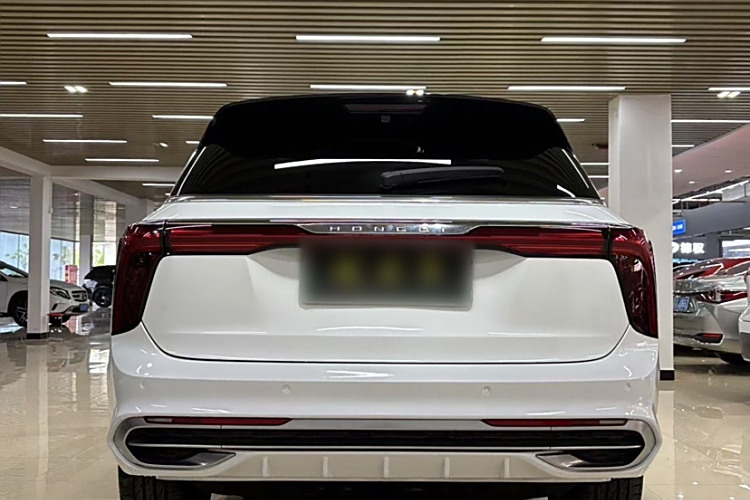 HongQi E-HS9 2021 immagine di auto #6