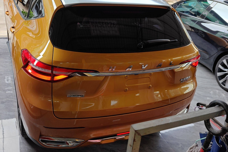 Haval F7 2019 car image #6